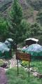 presentation of the jungle domes with the lucmabamba sign