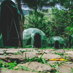 jungle domes level view
