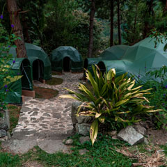 jungle domes environment showing the flora of lucmabamba