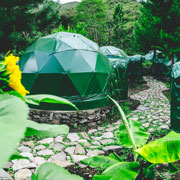 landscape of jungle domes with a blur of flowers