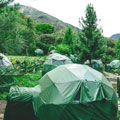 jungle domes and sanitary services