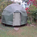a jungle dome with bugambillias (pink plants) 