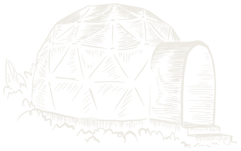 jungle domes linear illustration