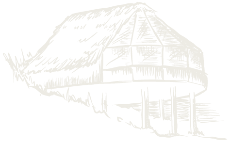 sky view linear illustration 