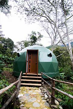 panoramic drone view of the jungle domes