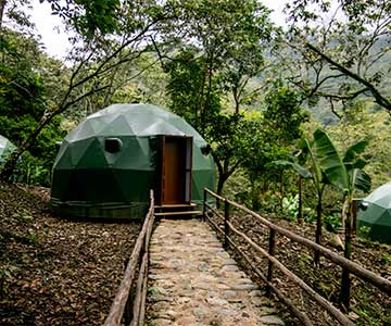 junglem domes with a nearby country house