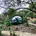 jungle domes and sanitary services