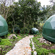 front view of two jungle domes